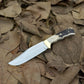 9" Handmade knife, High Polish Steel Blade, Hunting knife, J2 Steel Skinner knife, J2 Steel knife, Camping knife Stag Horn Handle