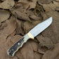 9" Handmade knife, High Polish Steel Blade, Hunting knife, J2 Steel Skinner knife, J2 Steel knife, Camping knife Stag Horn Handle