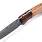8.5" Handmade Damascus Steel Hunting Knife, Fishing Camping Utility Knife, Groomsmen Gift with personalized handle