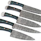 Custom Handmade Chef Knives Set / Kitchen Knives Set / 5Pcs Chef Set / Damascus Blades Chef Knives Set / BBQ Knives Set / Best gift item / Mother Day Gift / Professional Chef For Gift