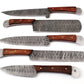 Custom Handmade Chef Knives Set / Kitchen Knives Set / 5Pcs Chef Set / Damascus Blades Chef Knives Set / BBQ Knives Set / Best handmade gift item / Mother Day Gift / Professional Chef For Gift