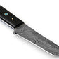 Custom Handmade Damascus Steel Tanto Knife 9.5", Damascus Hunting Knife, Fixed Blade Knife, Gift for Men